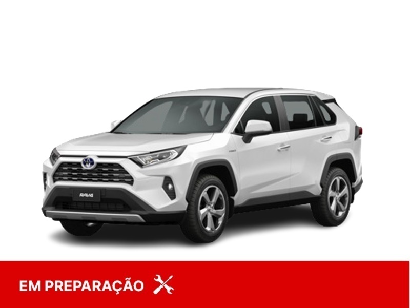 rav4 2019 hibrida
