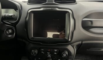 
									JEEP RENEGADE 1.3 T270 TURBO FLEX S 4X4 AT9 2023 completo								