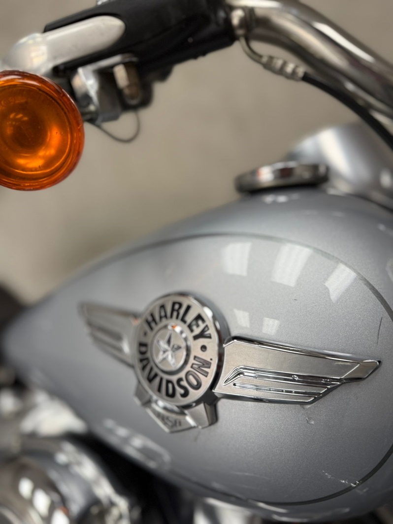 HARLEY-DAVIDSON SOFTAIL FAT BOY 107 CUSTOM 2020