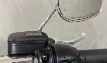 
									HARLEY-DAVIDSON SOFTAIL FAT BOY 107 CUSTOM 2020 completo								