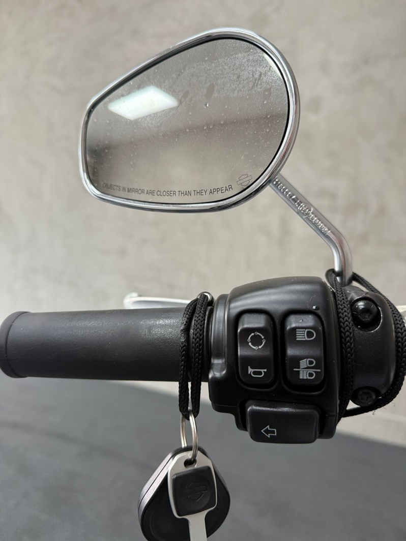 HARLEY-DAVIDSON SOFTAIL FAT BOY 107 CUSTOM 2020