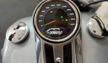 
									HARLEY-DAVIDSON SOFTAIL FAT BOY 107 CUSTOM 2020 completo								