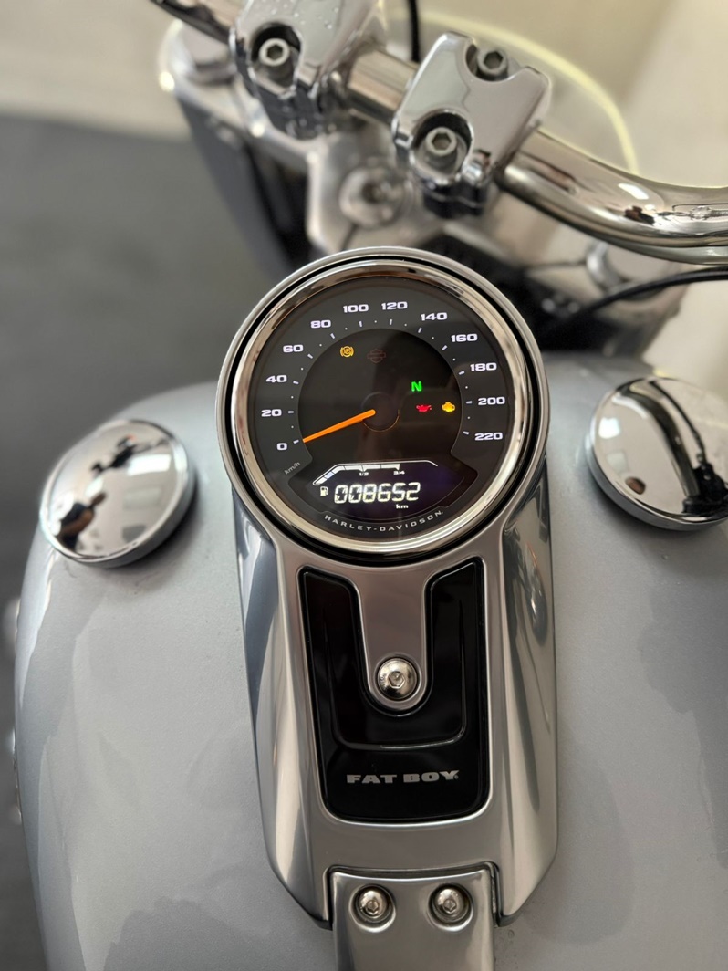HARLEY-DAVIDSON SOFTAIL FAT BOY 107 CUSTOM 2020
