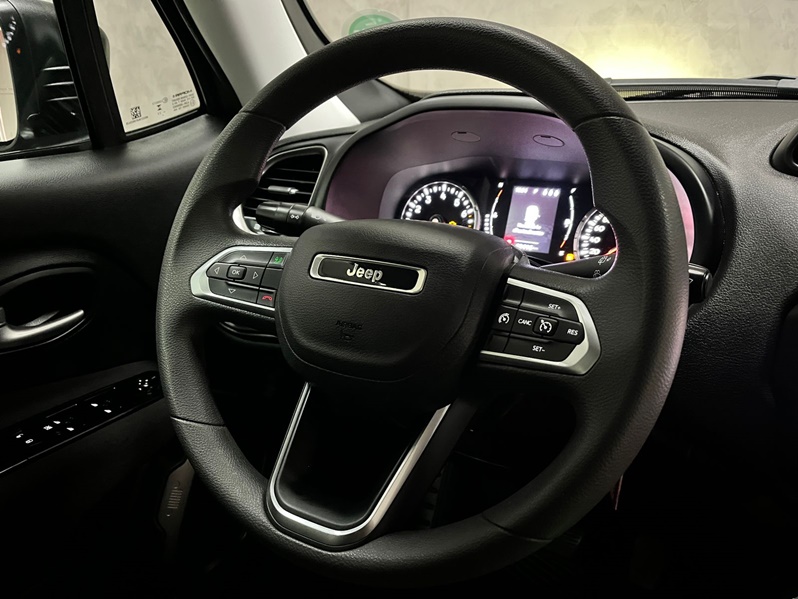 JEEP RENEGADE 1.3 T270 TURBO FLEX AT6 2024