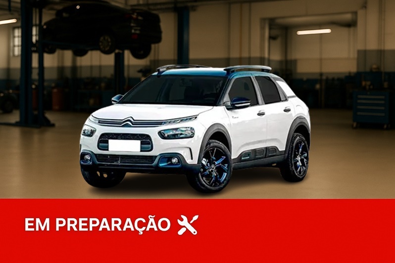 C4 CACTUS 2022