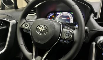 
									TOYOTA RAV4 2.5 VVT-IE HYBRID S AWD CVT 2019 completo								
