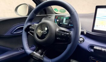 
									BYD DOLPHIN MINI 38 KW ELÉTRICO GS 2026 completo								